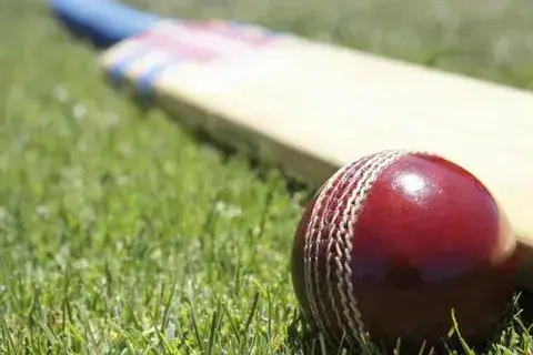 Fantasy cricket contest featuring top teams